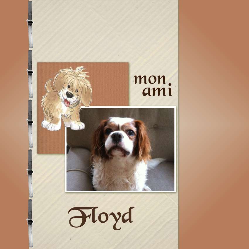 Floyd (2 9 2022).jpg