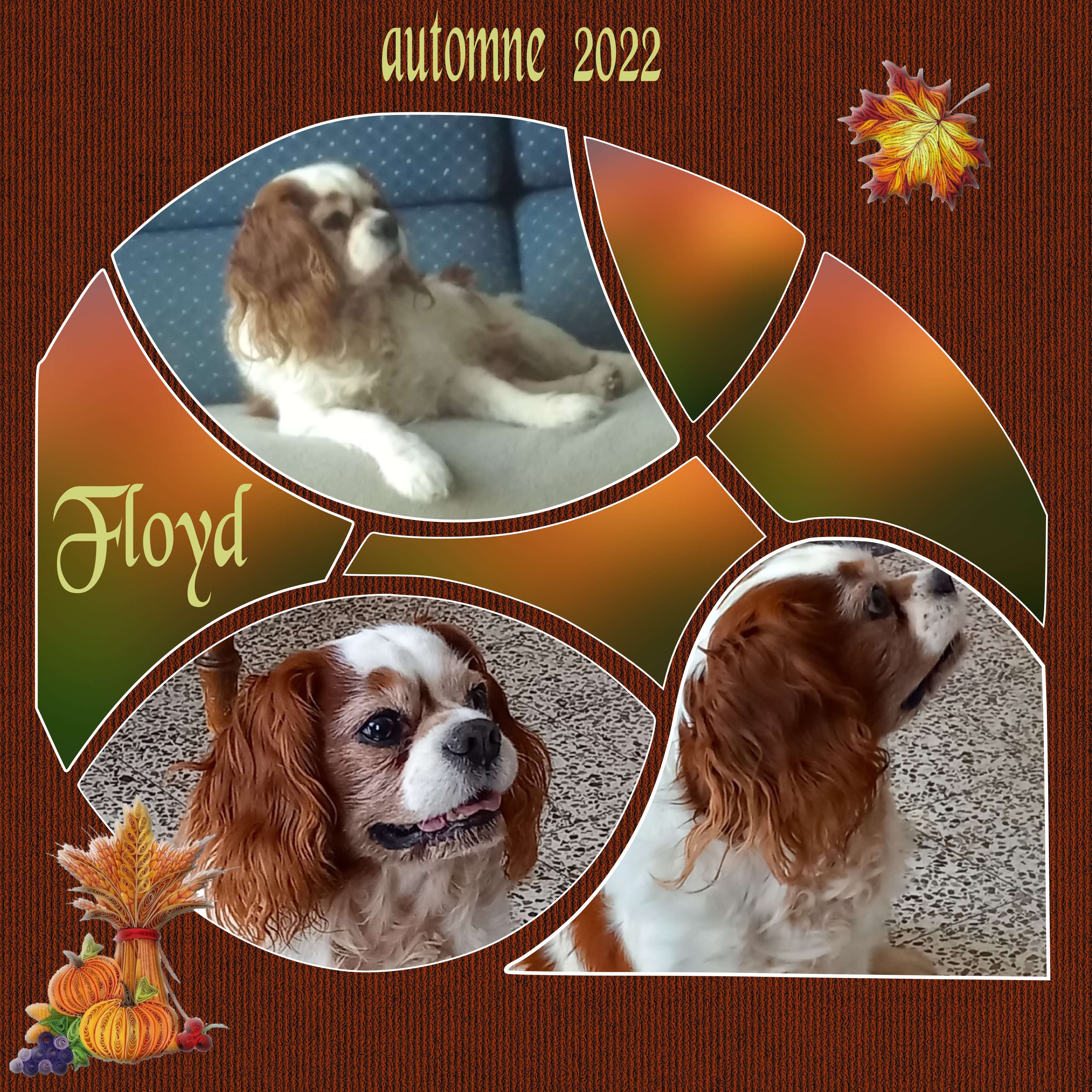 floyd  automne  2022.jpg