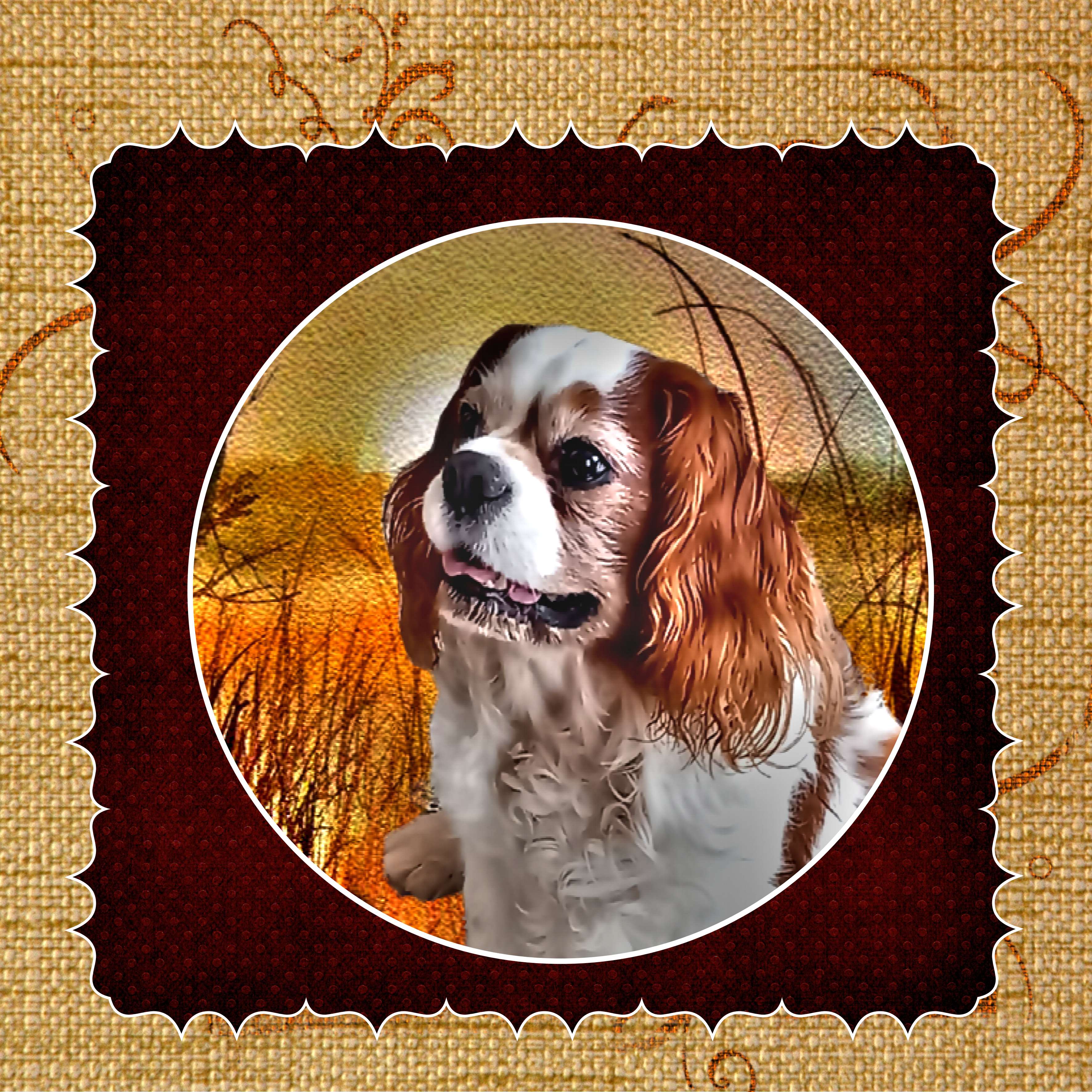 floyd  en h  d  r.jpg