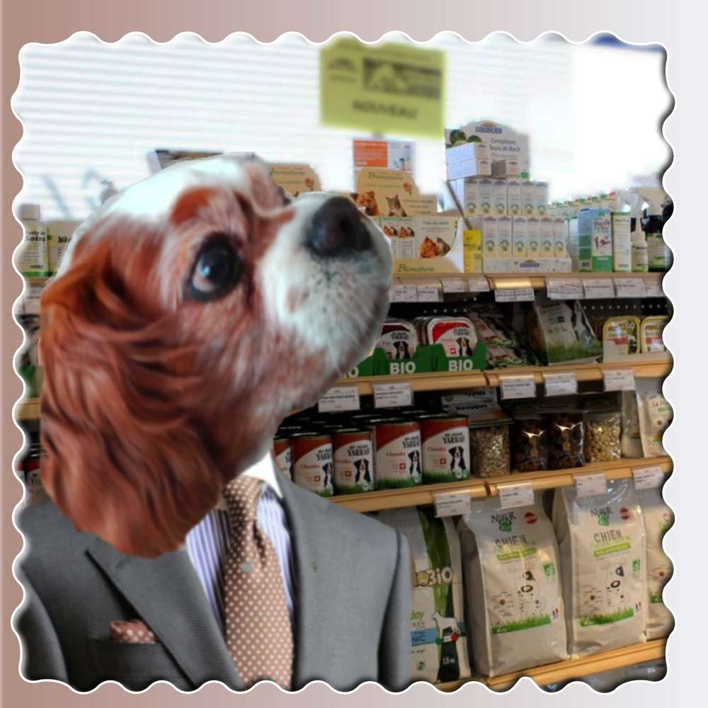 FLOYD_FAIT_SON_CHOIX