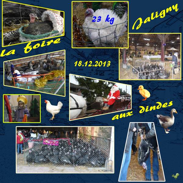 foire aux dindes