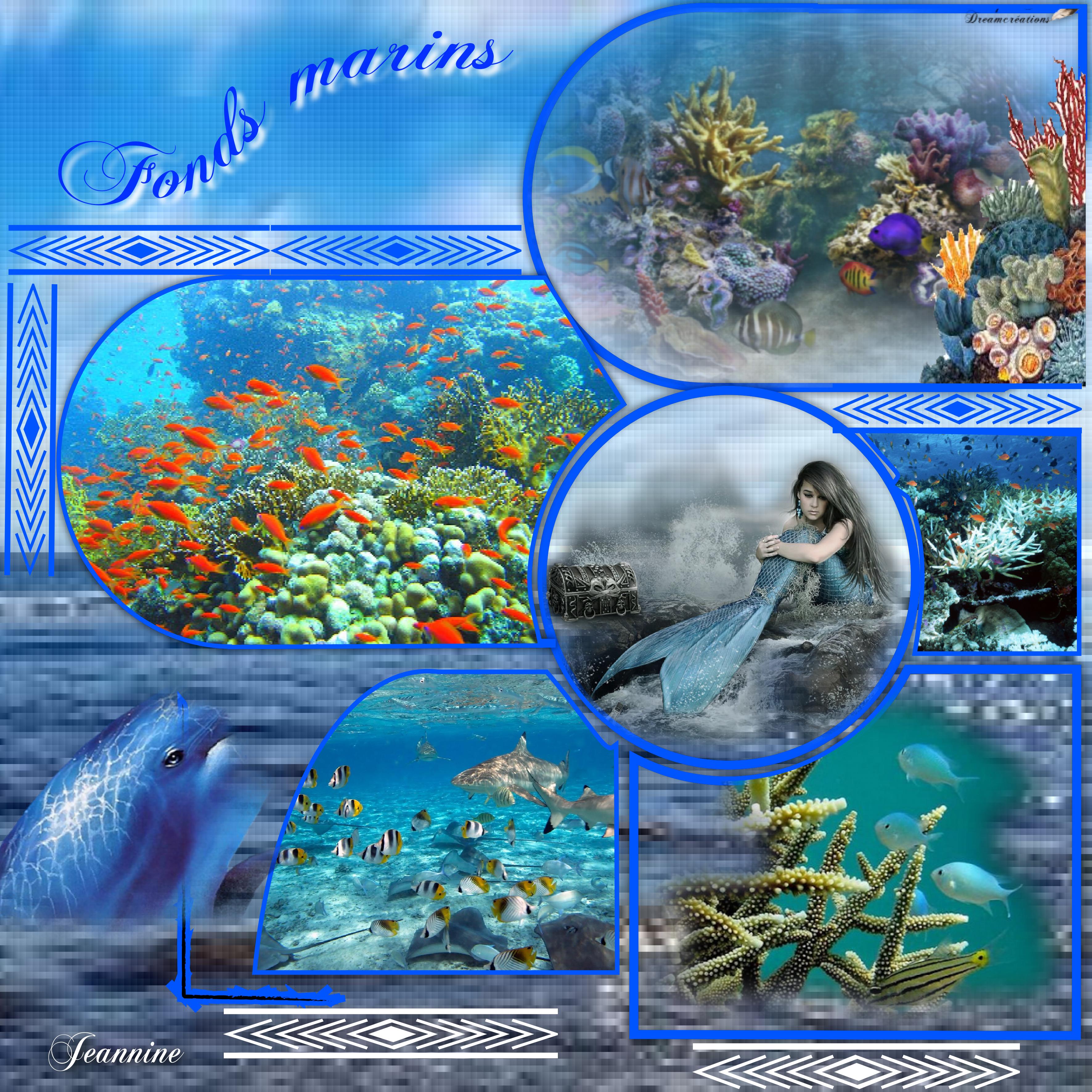 Fonds marins Jeannine.jpg