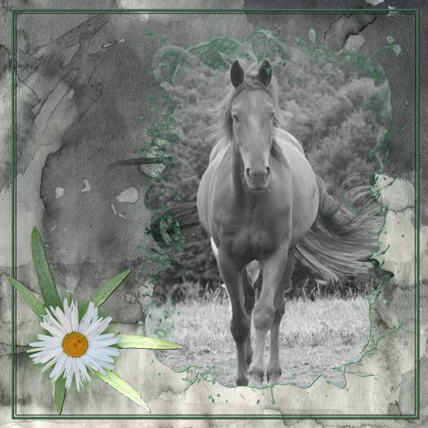 force &amp;amp; liberté