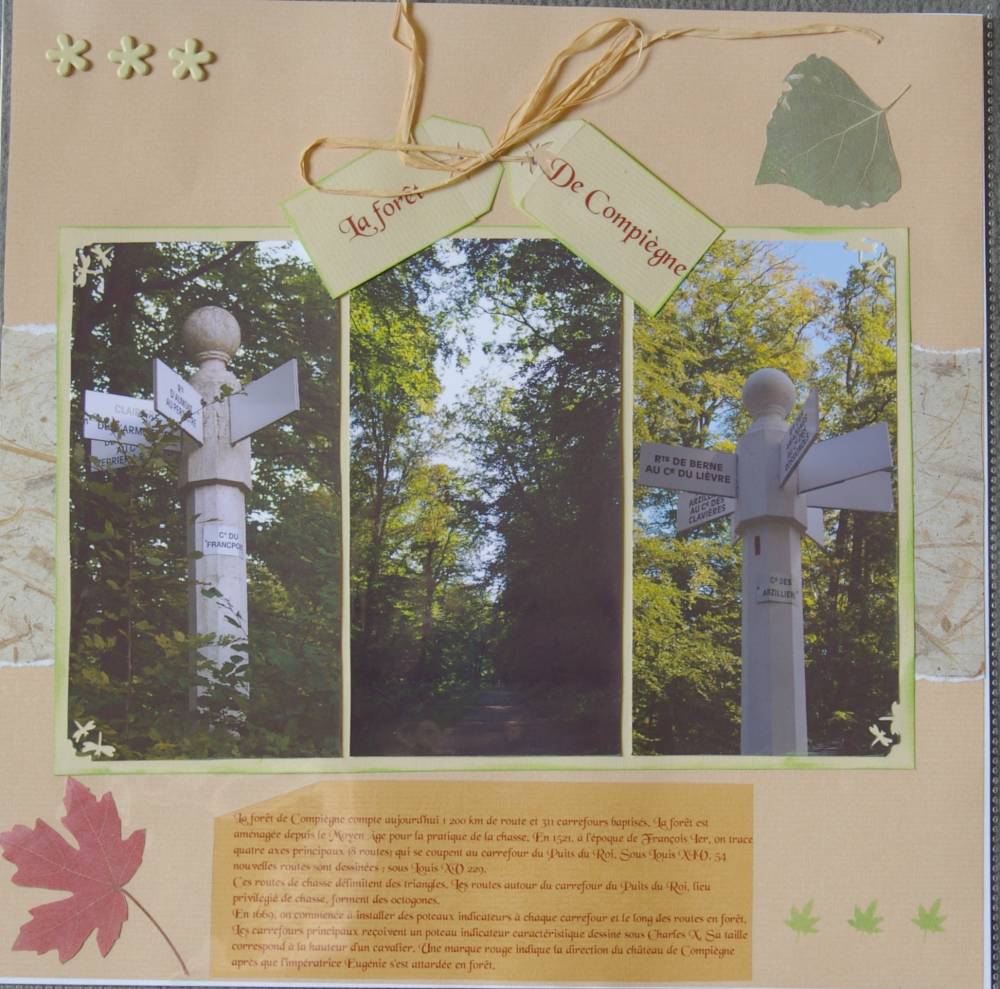 forêt de Compiègne