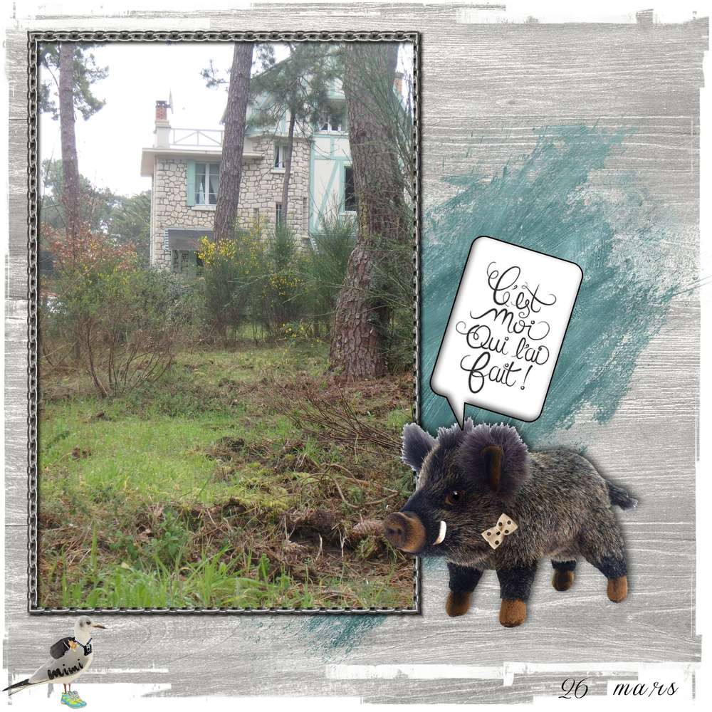 forêt de La Palmyre..