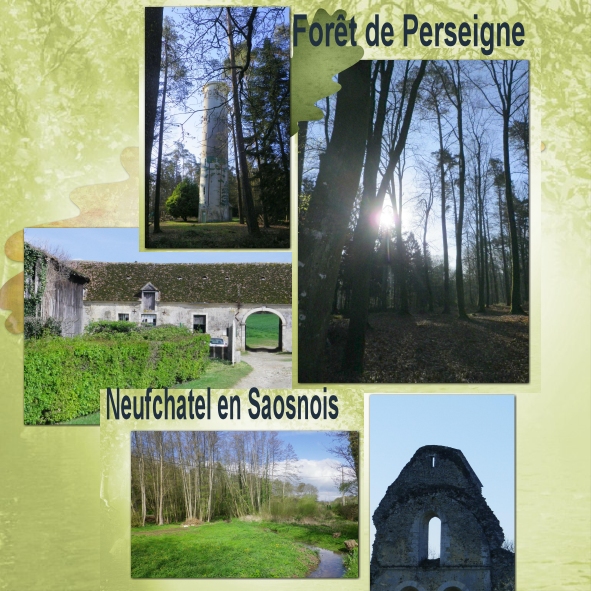 Foret de Perseigne, printemps 2012
