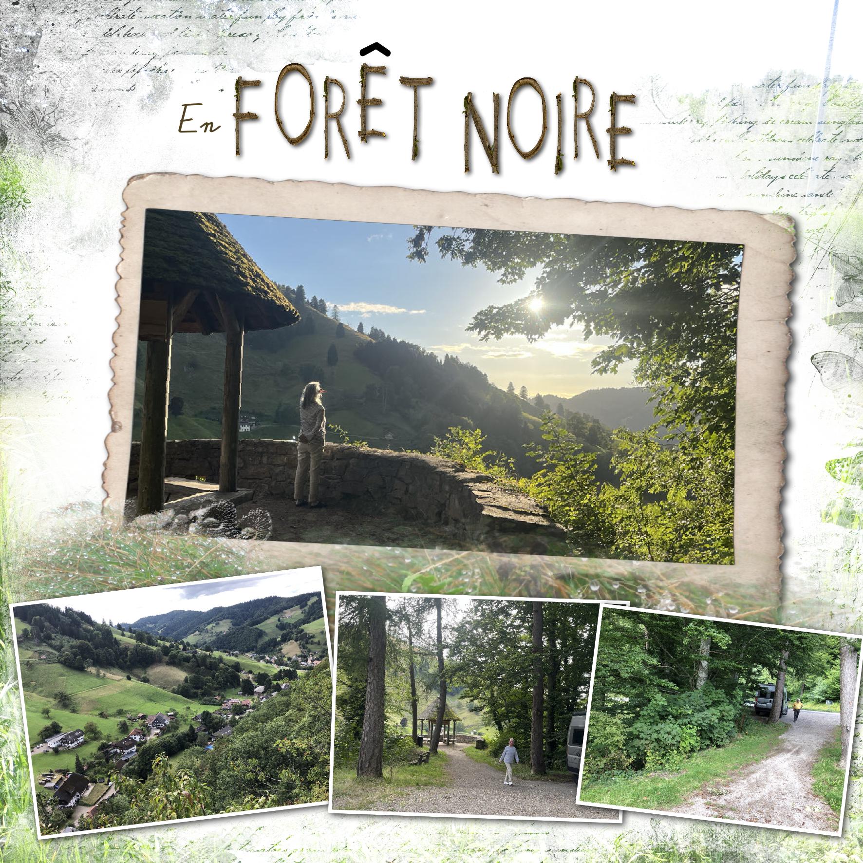 forêt noire.jpg