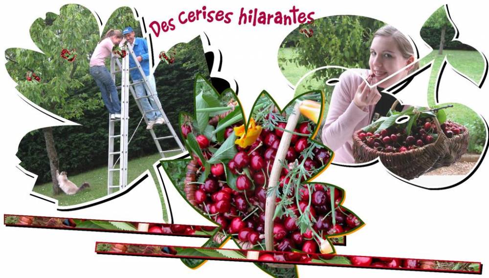 Fou rire sur une échelle