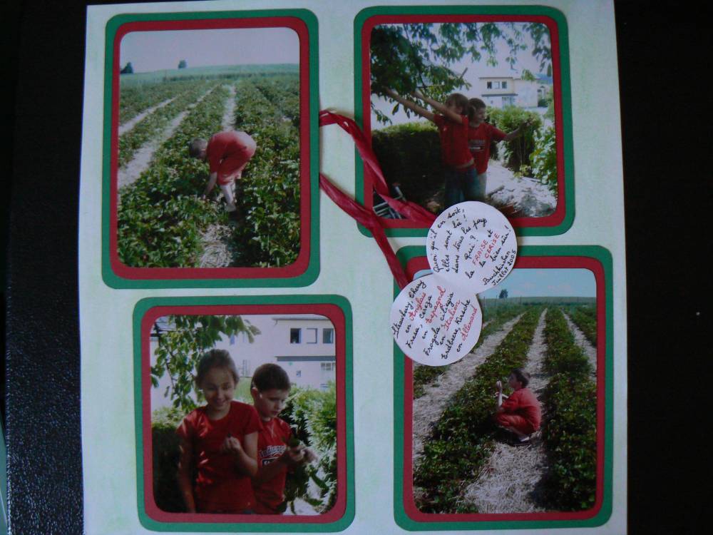 fraises ,cerises en français et en allemand