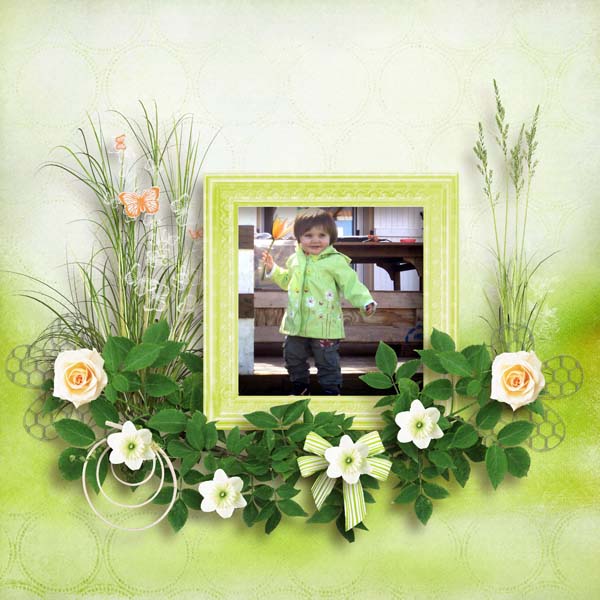 Fresh_moments_de_MiMiConcept