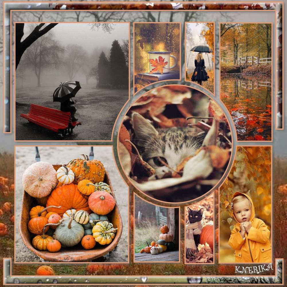 frilosit___d_automne_du_02-10-19_OK