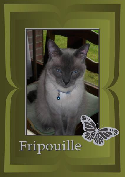 FRIPOUILLE-1
