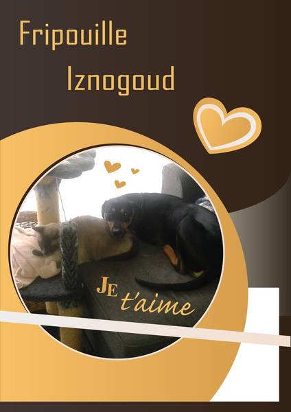 FRIPOUILLE ET IZNOGOUD - BELLE COMPLICITE