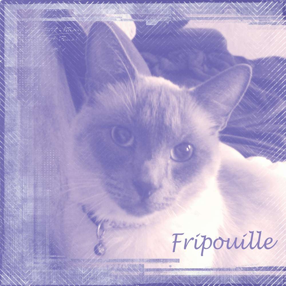 FRIPOUILLE