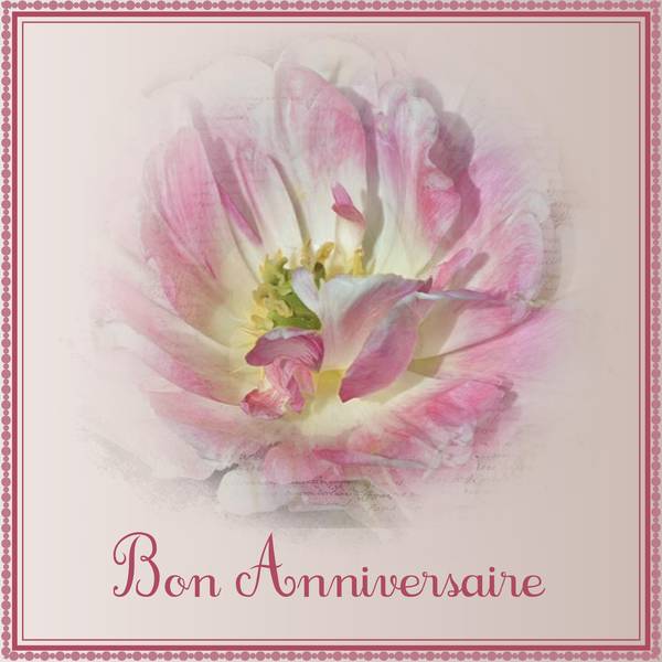 FRISETTE 59 - BON ANNIVERSAIRE