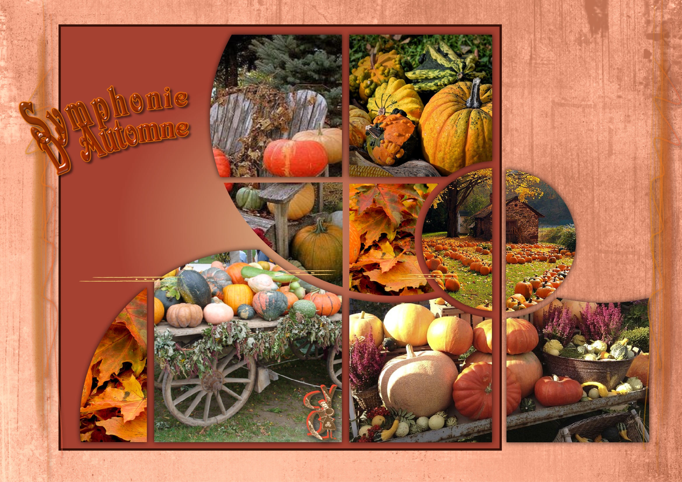 Fruits d'automne.jpg