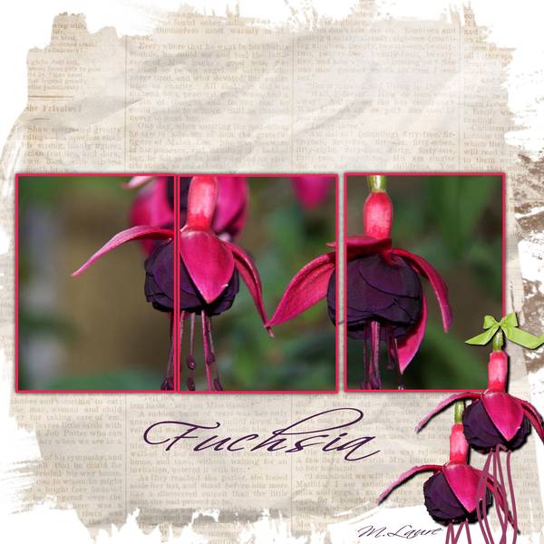 Fuchsia