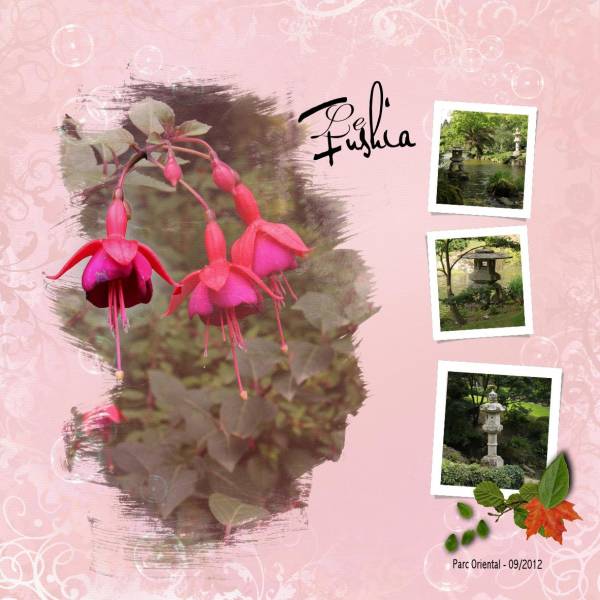 Fushia