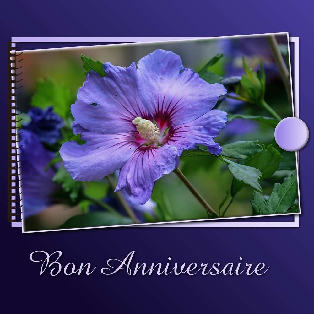 GABRIELLE (PUPUCE) - BON ANNIVERSAIRE