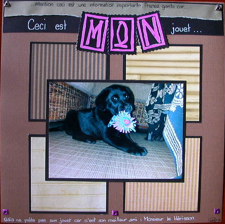 Gaïa et le hérisson