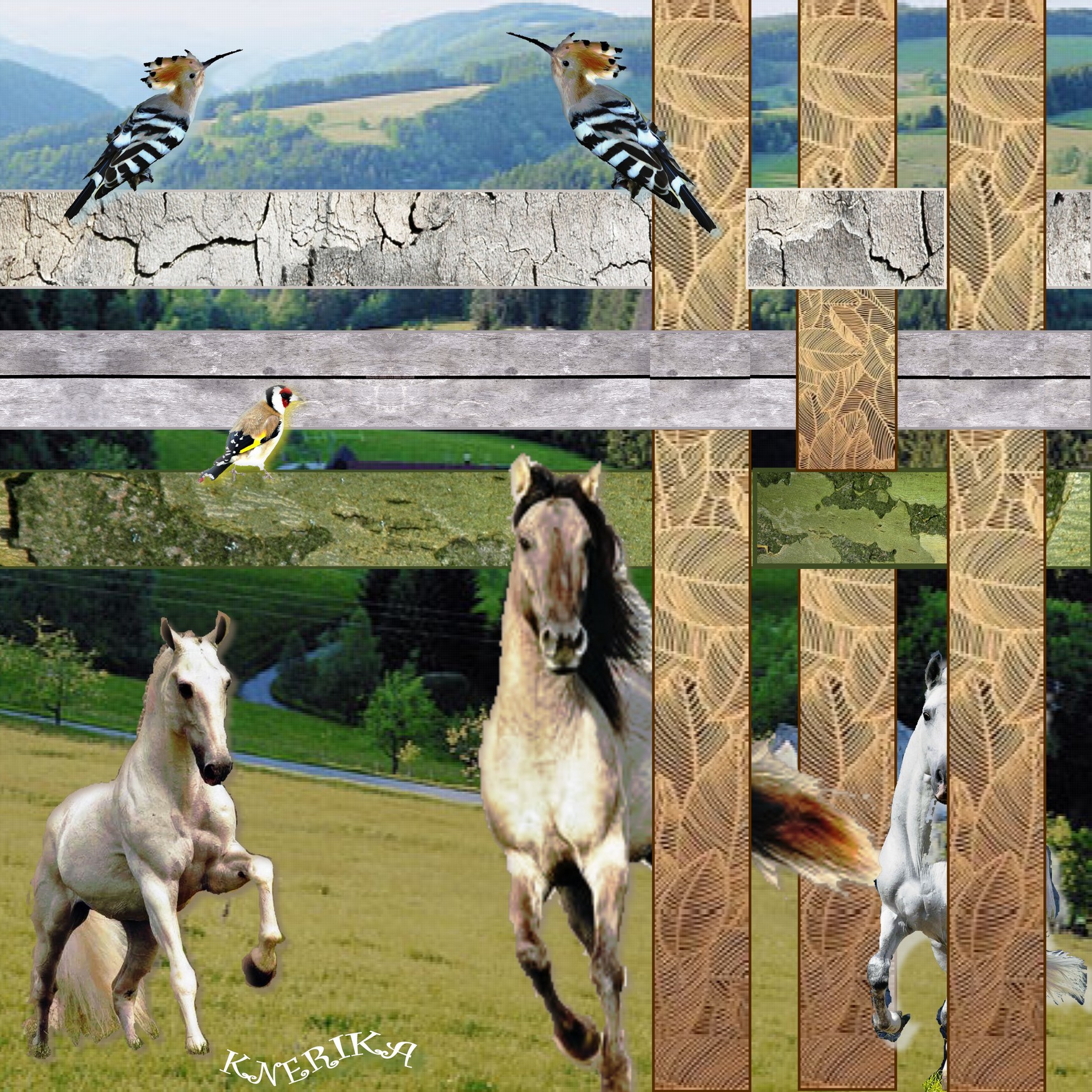 Galop de la liberté, 03 09 2020 OK (1).jpg