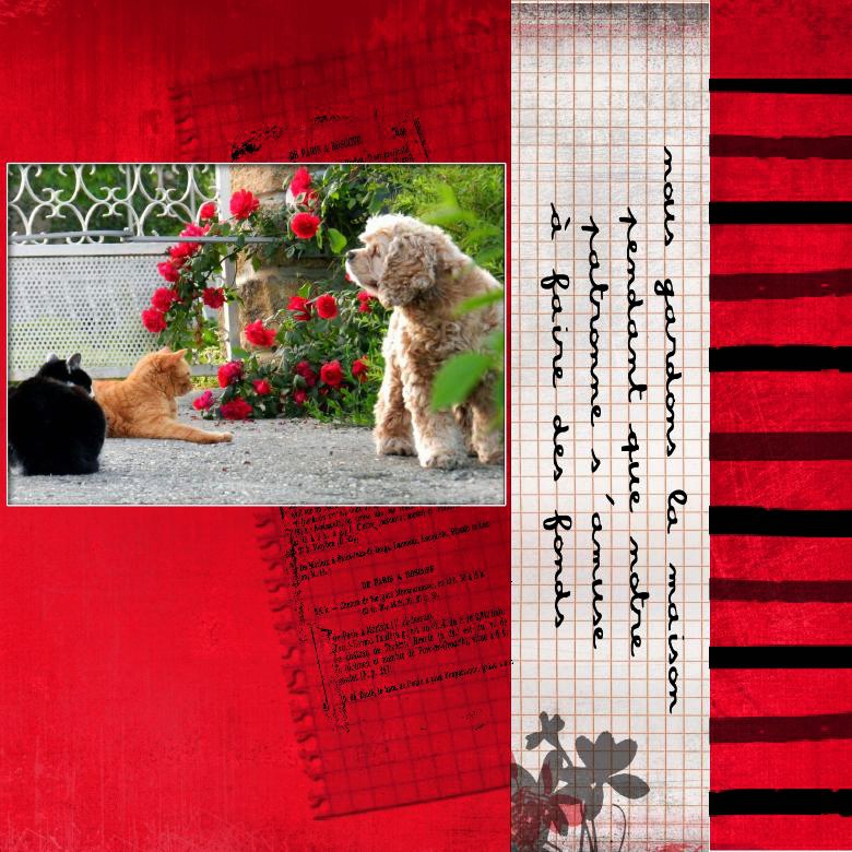 gardiens de la maison.jpg