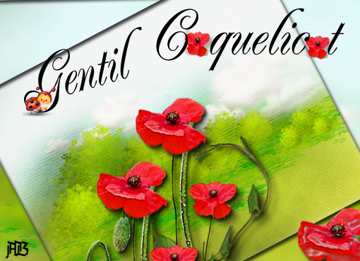 Gentil coquelicot, les champs en sont envahis et j'adore ça !!!