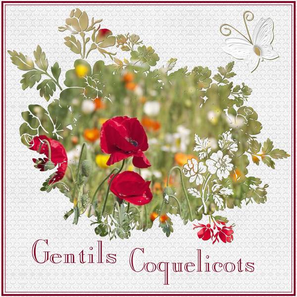 GENTILS COQUELICOTS
