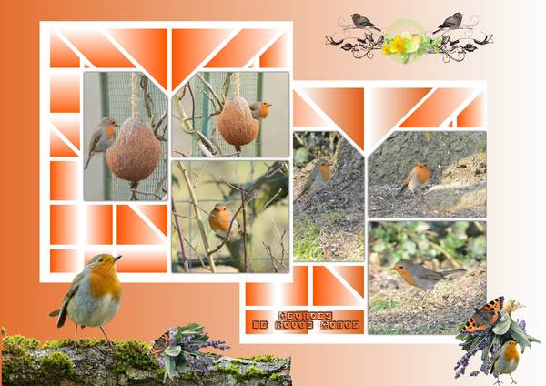 Georges_le_Rouge_Gorge