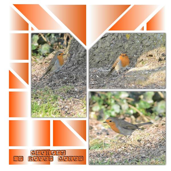 Georges_le_Rouge_Gorge__page_1_