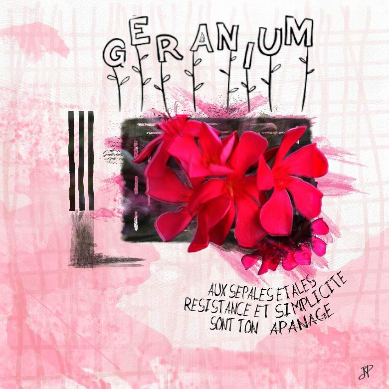 geranium aux sepales....jpg