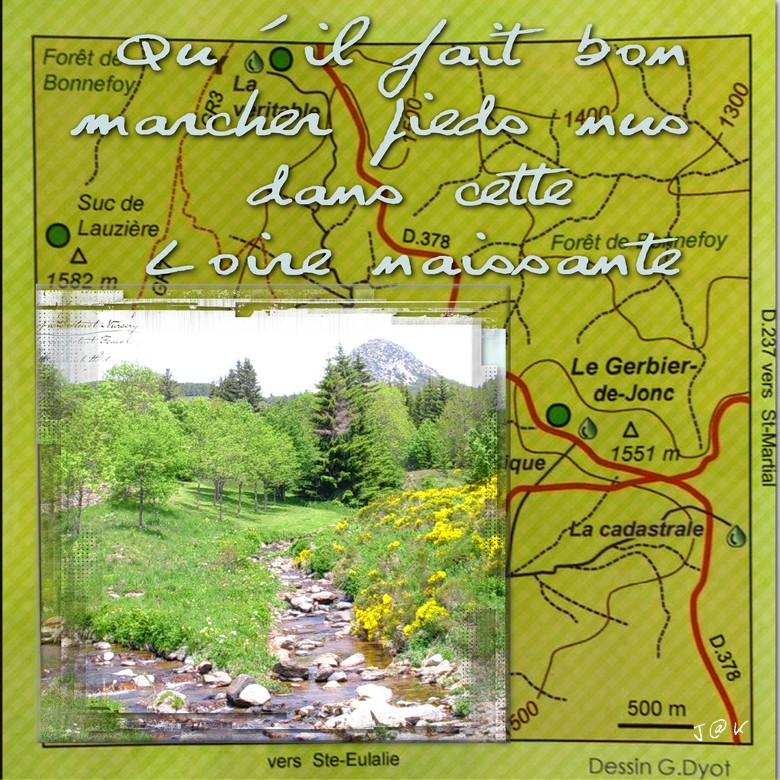 gerbier de jonc loire naissante .jpg