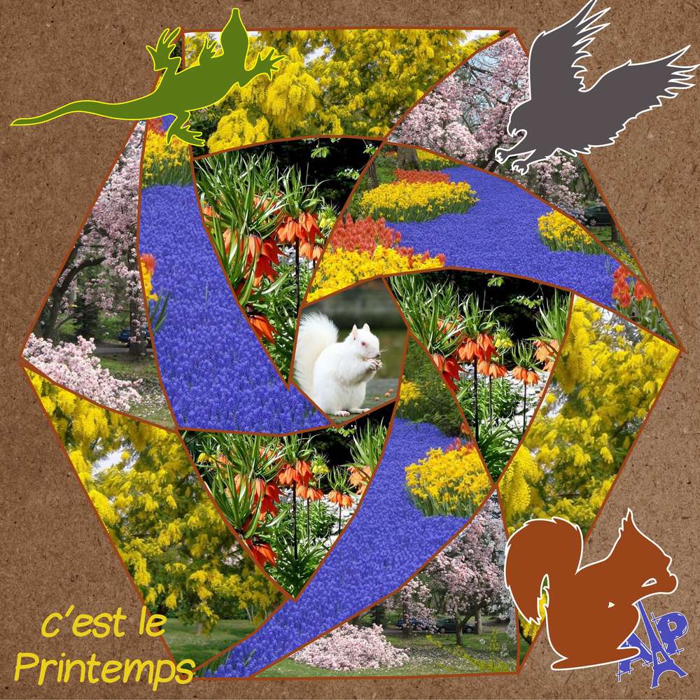 Giecat_-_c_est_le_printemps_mai_2020_Annie