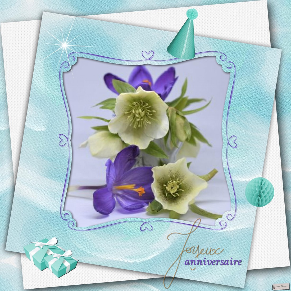 Gigi 19 decembre 2021.jpg