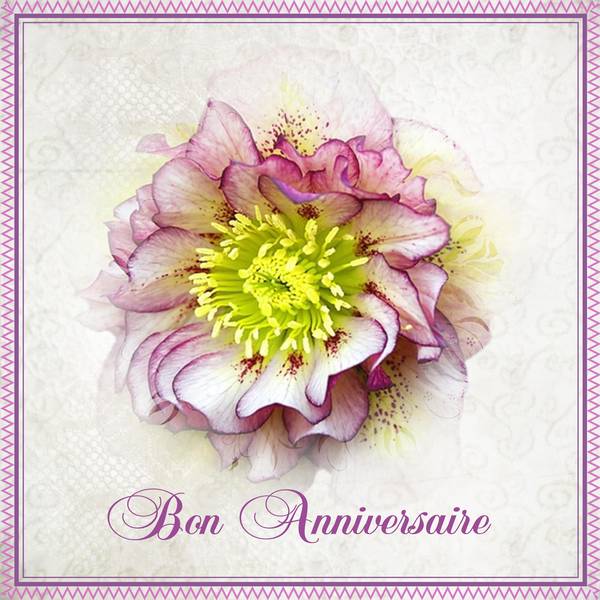 GIGI - BON ANNIVERSAIRE