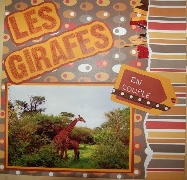 girafes 1