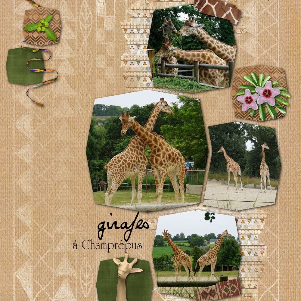 Girafes