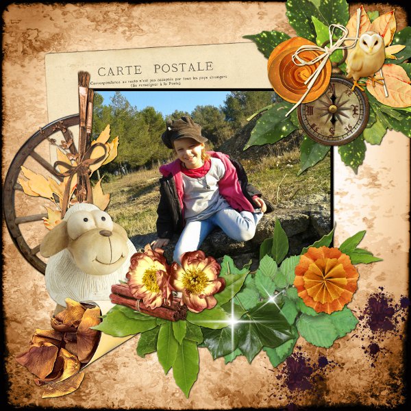 Golden fall de Kastagnette -2-