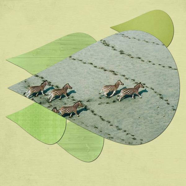 goutte d'eau sauvage ?