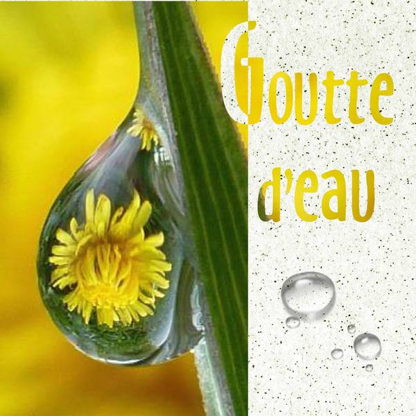 Goutte d'eau