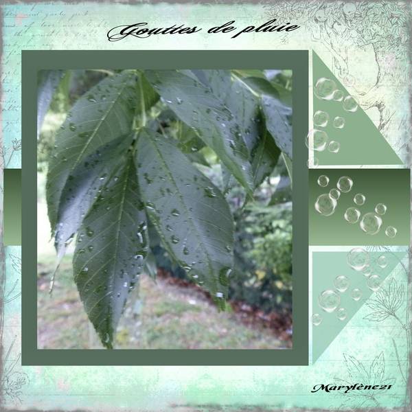 GOUTTES DE PLUIE
