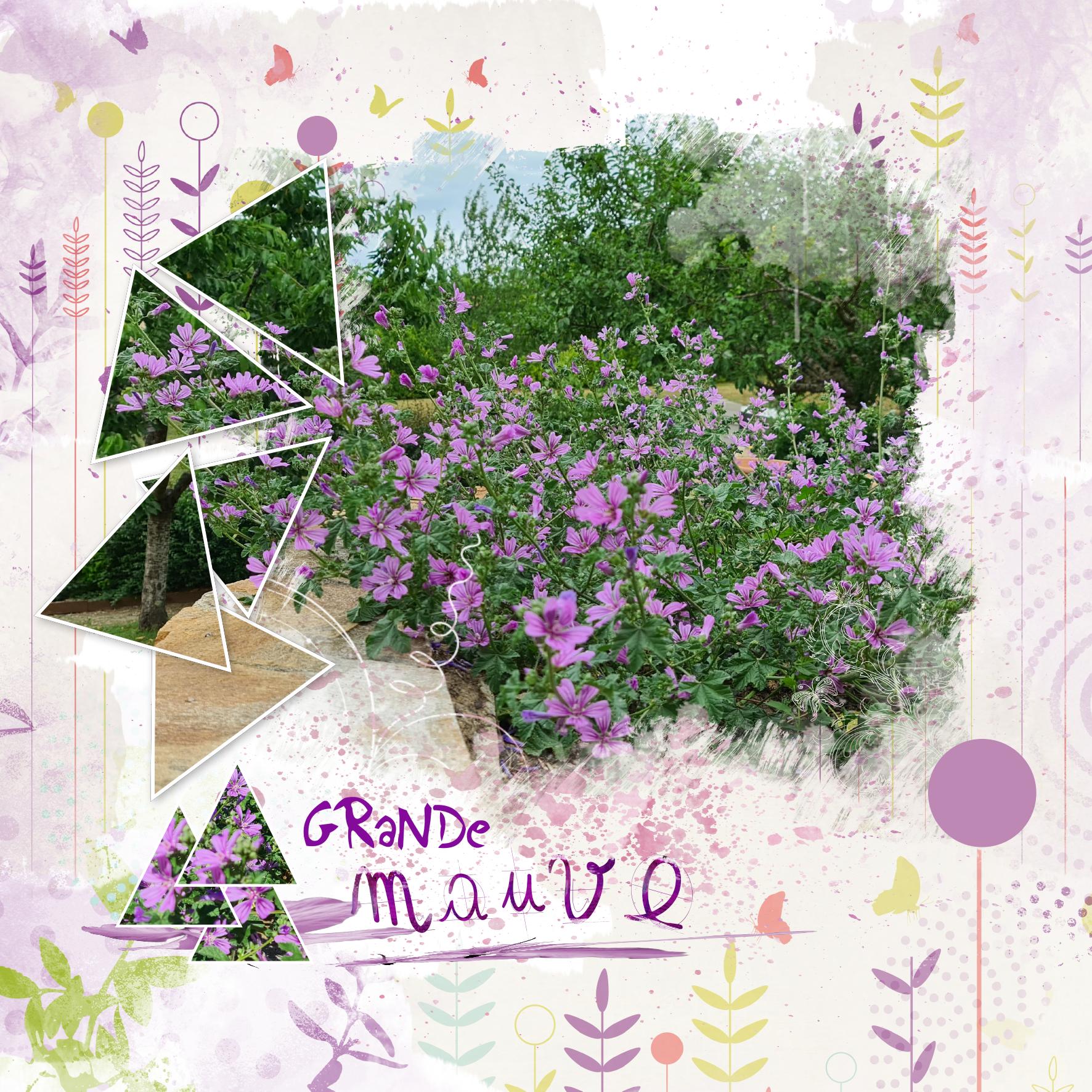 grande mauve scraplift nov 2022.jpg