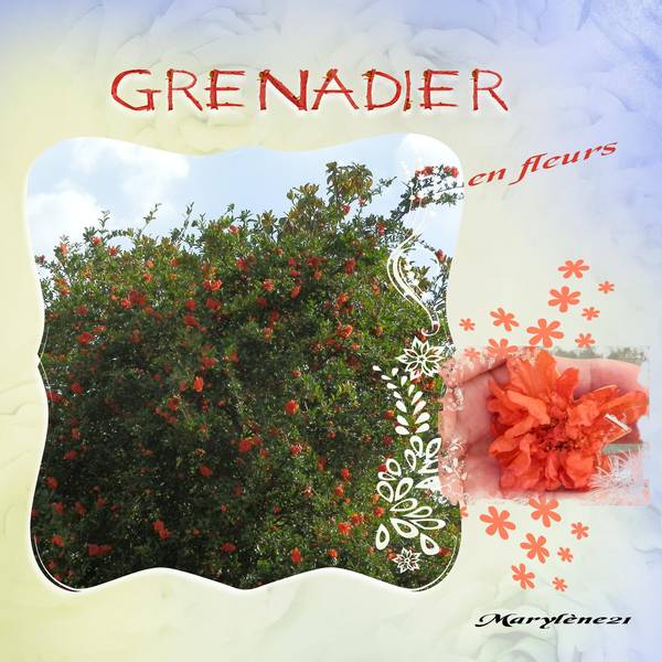 GRENADIER