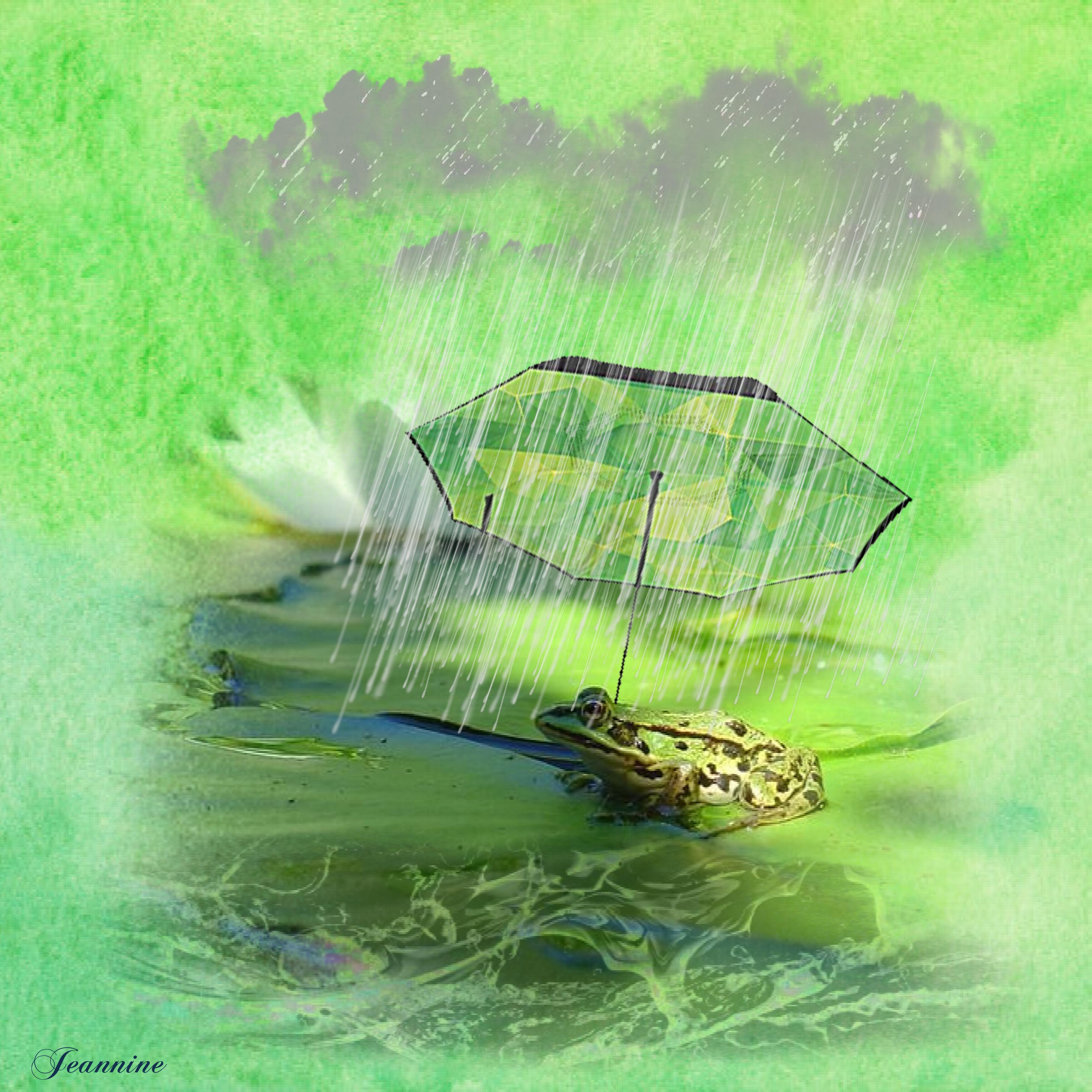 Grenouille au parapluie_Jeannine.jpg