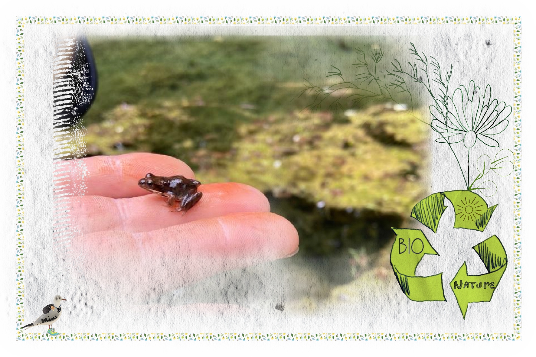 grenouille-bio nature-18sept.jpg