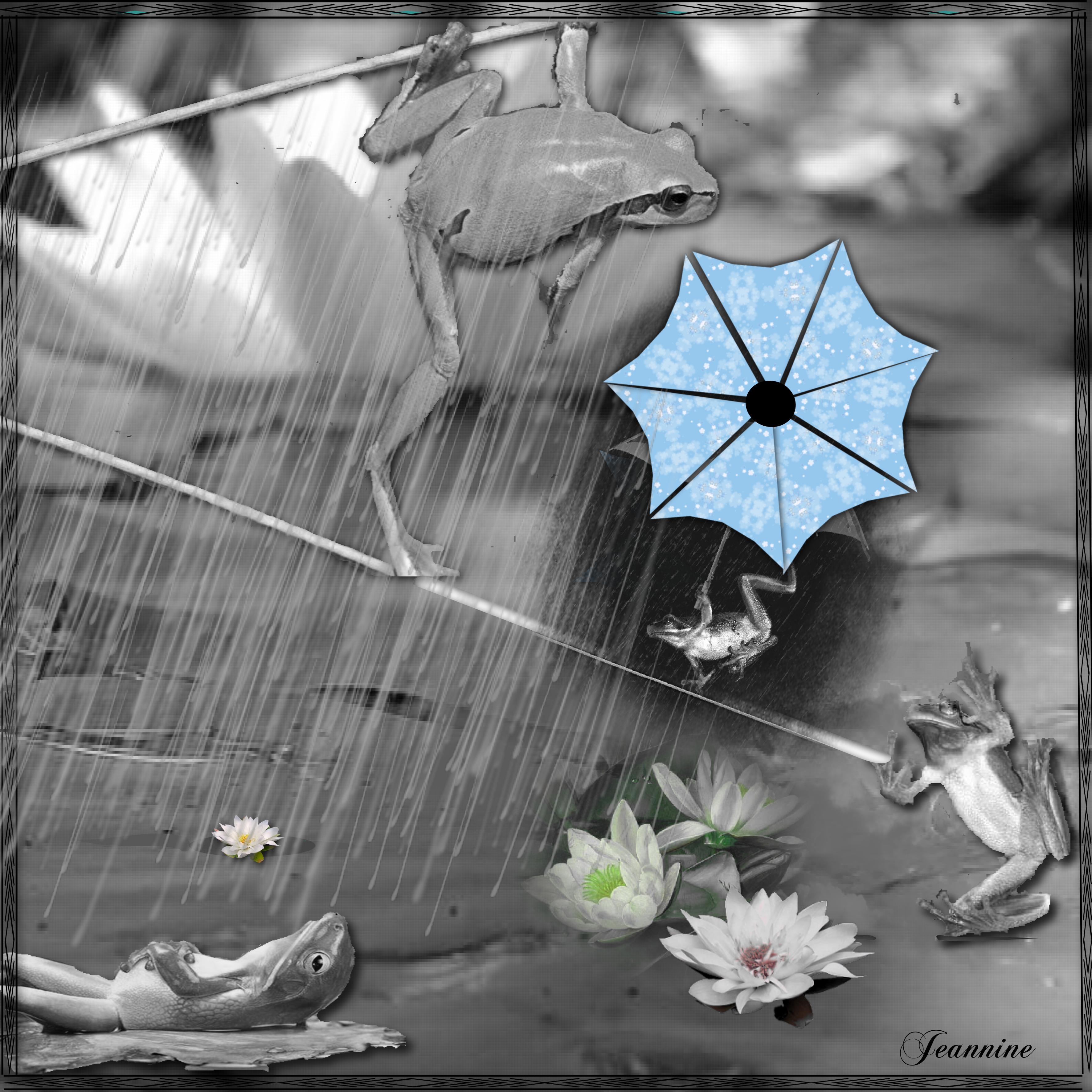 grenouille et parapluie Jeannine.jpg