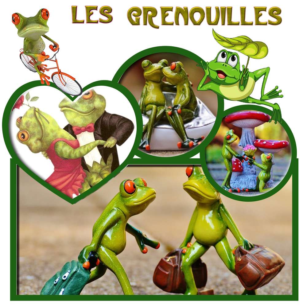 grenouilles