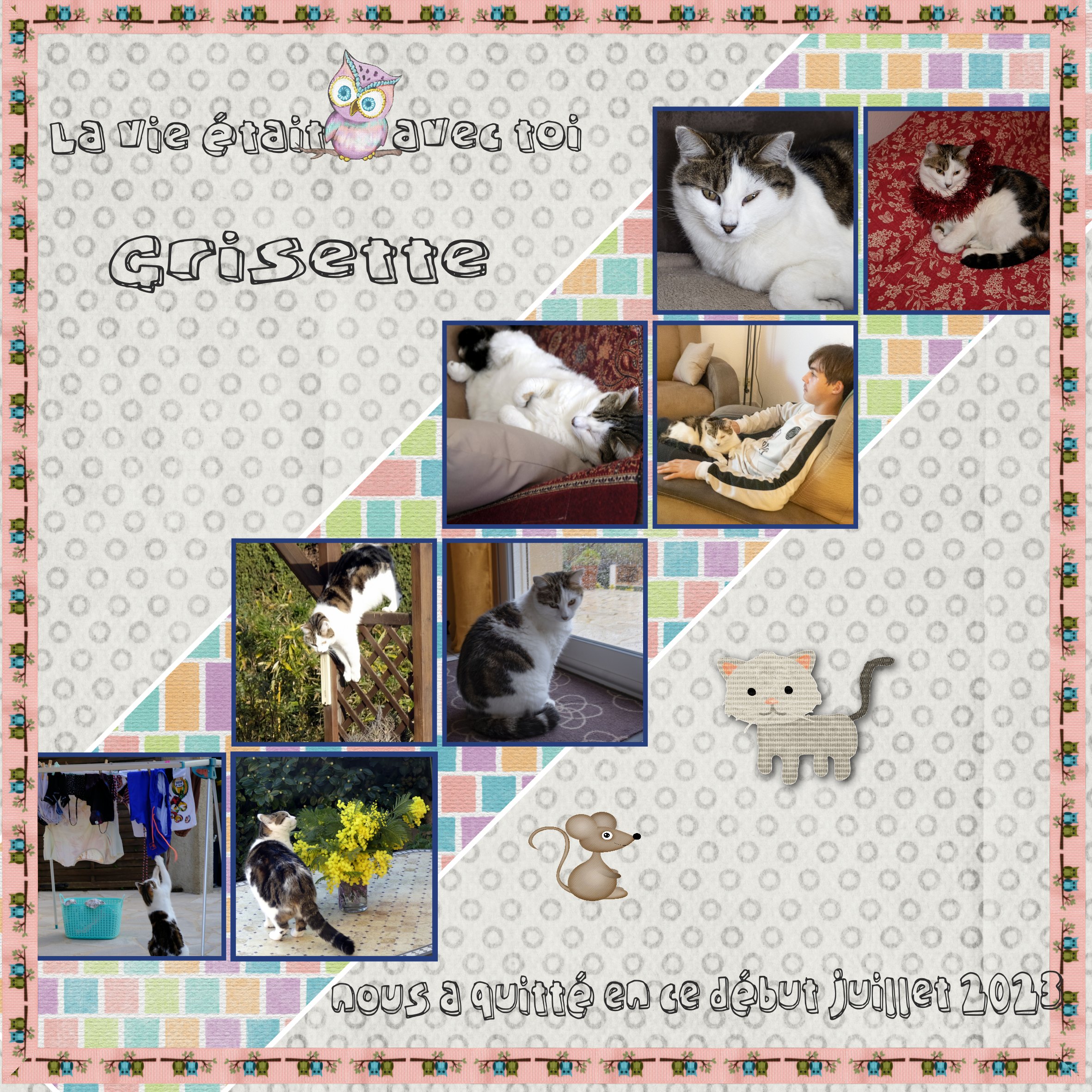 Grisette est partie .jpg