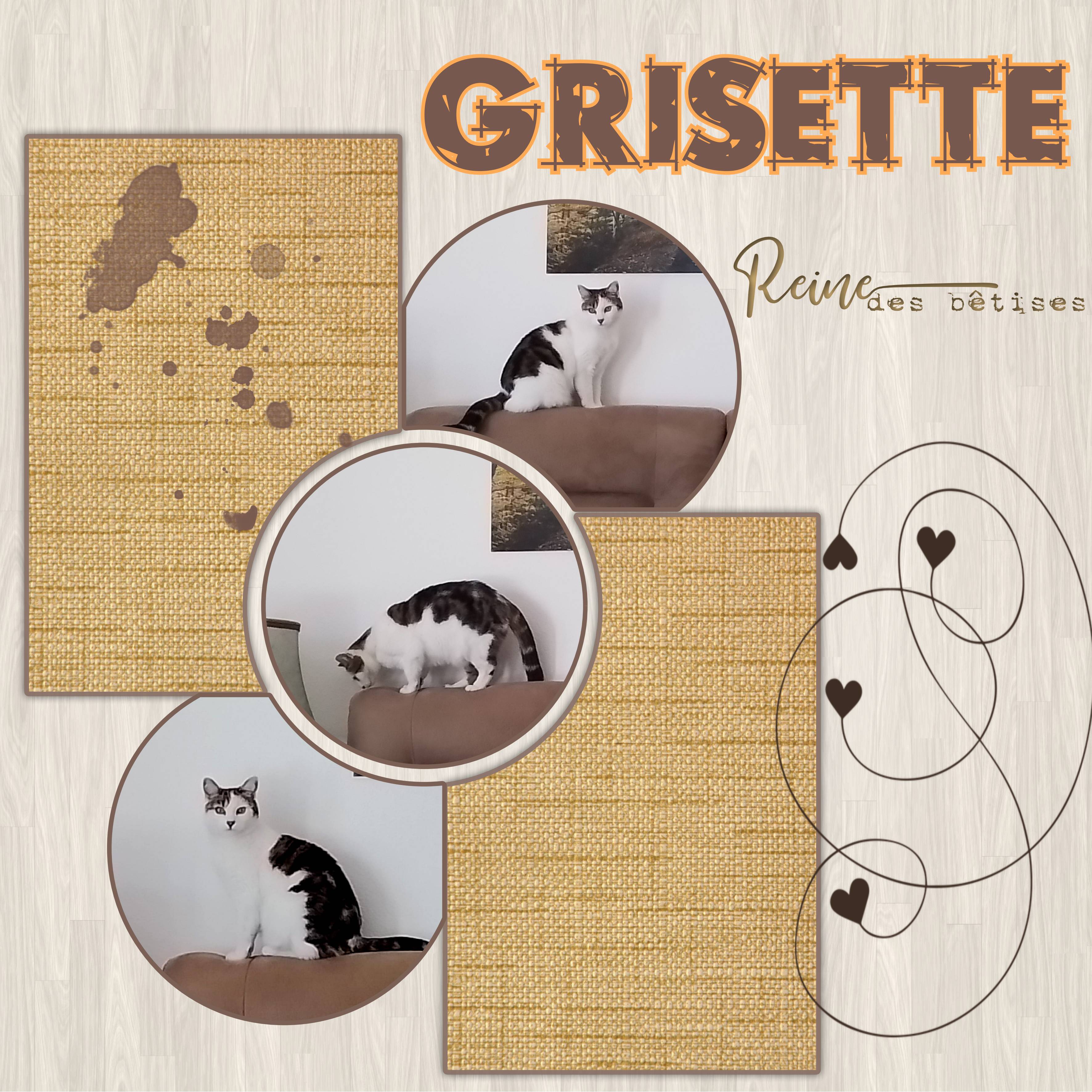 Grisette.jpg