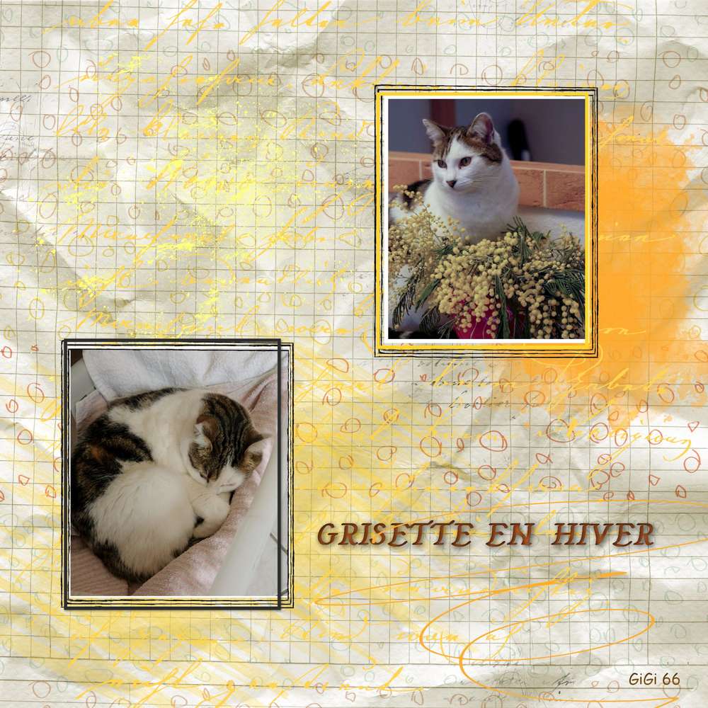 grisette_en_hiver_